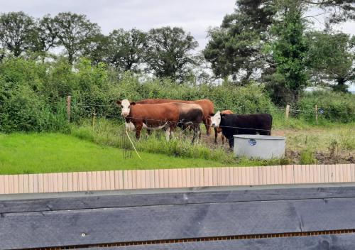 ทัศนียภาพ, Gîte 'La BelleVue' (Gite 'La BelleVue') in วิกูล็อง