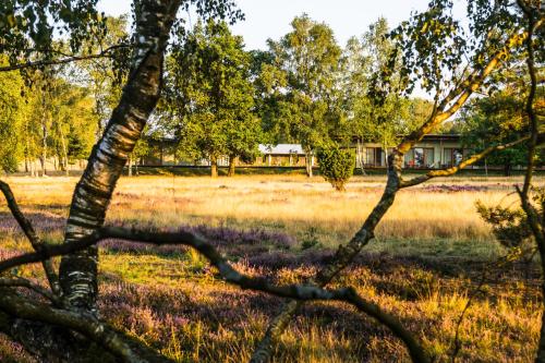 Hotelcamp Reinsehlen - image 7
