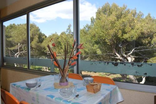 NP200-312 Appartement 2 pièces cabine Narbonne Plage - Location saisonnière - Narbonne