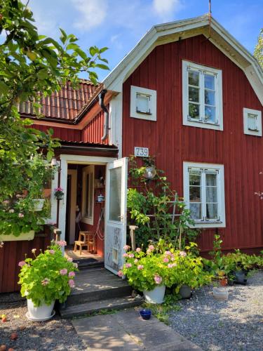 Mysigt rum med lantligt läge i privat bostad med katter