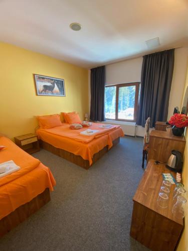 Hotel Forest Star on the Ski Slope in 伯來維茲