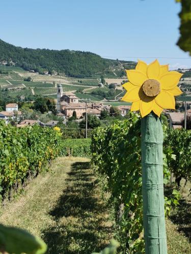 Agriturismo Mondo 2