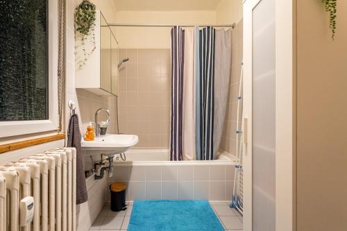 Large apartment in Strasbourg, Strasbourg (photo 9)