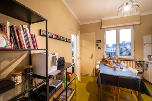 Large apartment in Strasbourg, Strasbourg (photo 10)