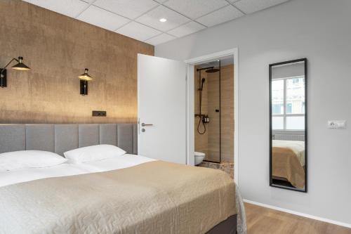 Deluxe Double Room image 5