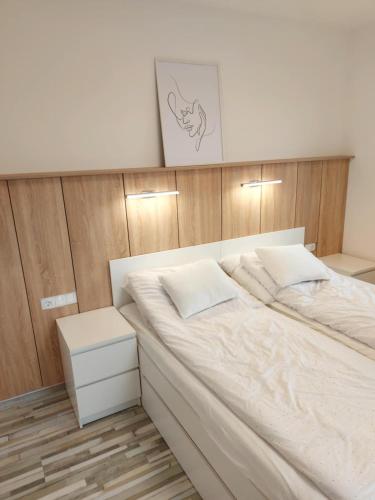 Penthouse Apartman in Hajduszoboszlo