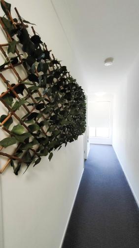 Retreat Haven--The Perfect Master Bedroom Getaway in Kallangur