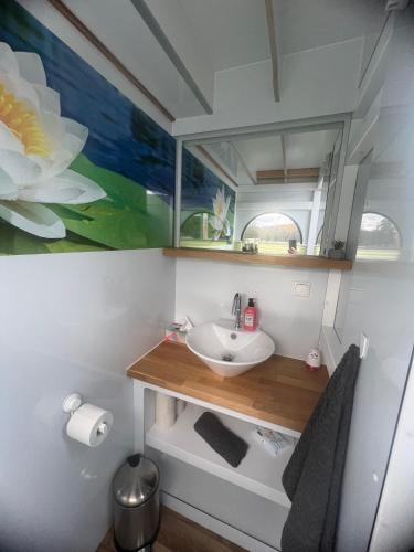 Hausboot Rollyboot in Joachimsthal