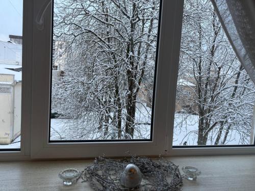 Cozy studio apartment in the center of Riga - image 4