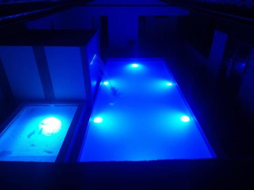 Swimming pool, EL TRAPICHE in Sigchos