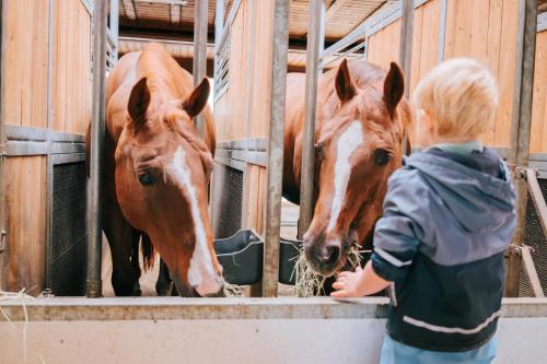 Widmannhof - Urlaub auf dem Biobauernhof