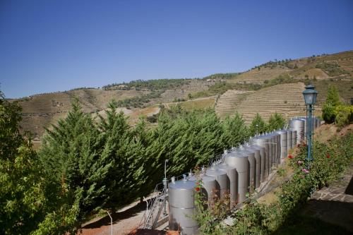 Hotel Rural da Quinta do Silval - image 12