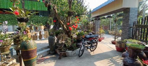 Home Coffee shop Ty Uyen - 정원