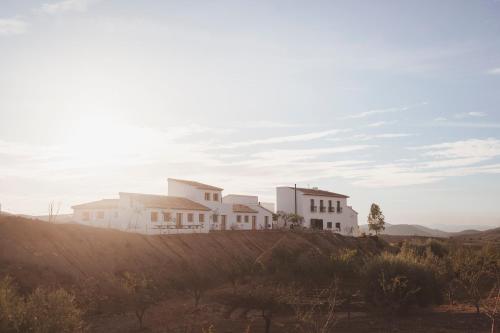 Cortijo Banana in Taberno