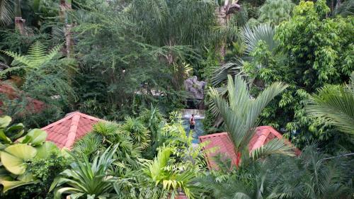 Paradise Hot Springs - Thermal Water & Volcano Views, Fortuna (fotografie 11)