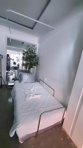 ShowRoom Studio - Shared Space