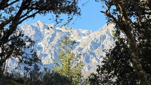 Las Casucas de Remoña Las Casucas de Remoña