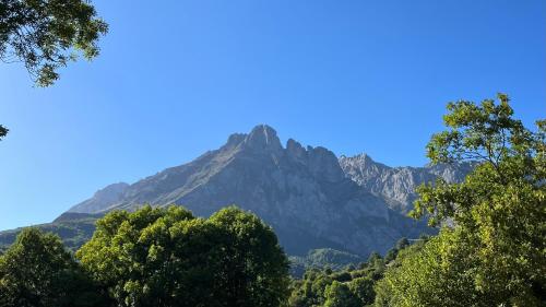 Las Casucas de Remoña Las Casucas de Remoña