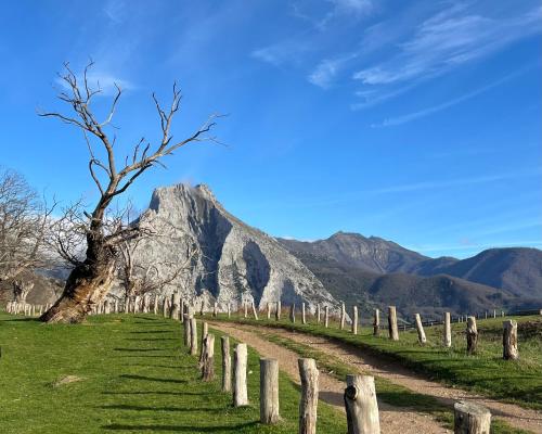 Las Casucas de Remoña Las Casucas de Remoña