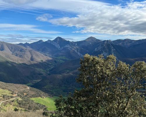 Las Casucas de Remoña Las Casucas de Remoña