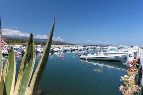 Camping Sole Di Sari 4