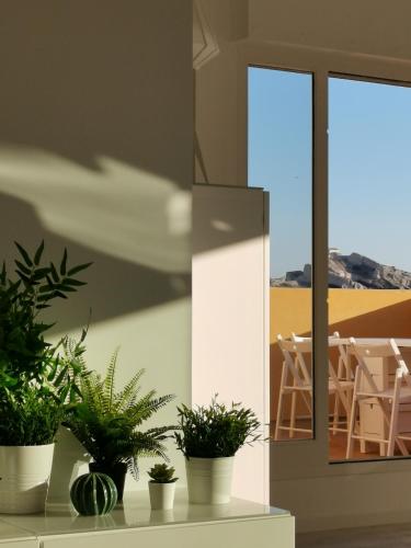 ILE du FRIOUL feerique 102m2 8p superbe appartement VUE MER 3 terrasses plage a pied in Les Iles