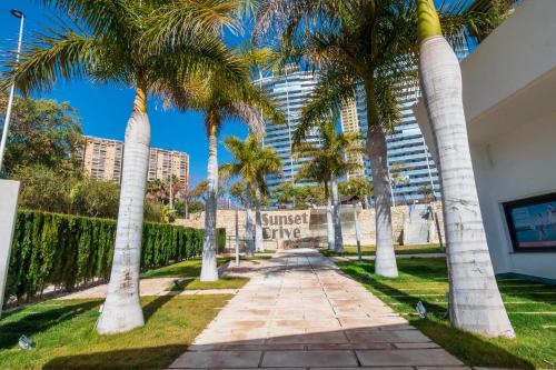 Sunset Drive 9 - 105 Premium, Benidorm (Foto 7)