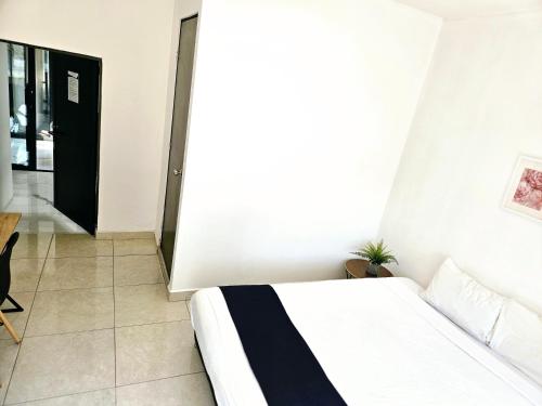 Singular Sócrates Singular Sócrates