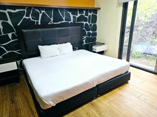 Singular Sócrates Singular Sócrates