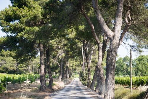 Château Canet