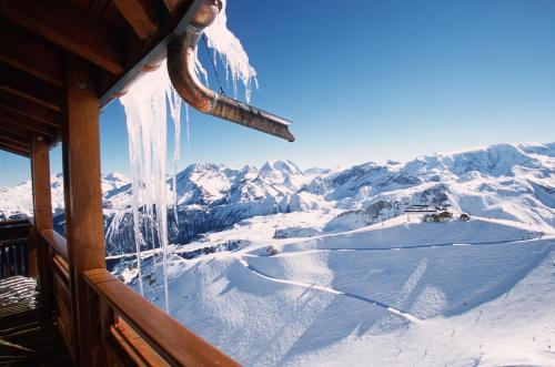 Appartement d'Exception - Jardin Alpin - Courchevel 1850 - image 13
