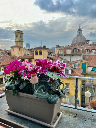Loft centro storico Tommaso 2
