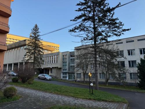Кришталевий Палац, Truskawiec (zdjęcie 6)