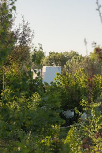 Gandum Village - Conscious Boutique Hotel