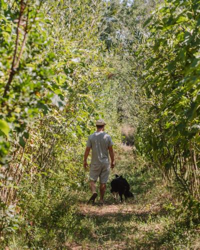 Gandum Village - Conscious Boutique Hotel