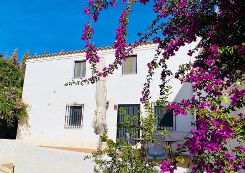 Mojacar farmhouse apartments with pool in Los Gallardos