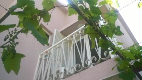 Family House Pavicevic - image 4