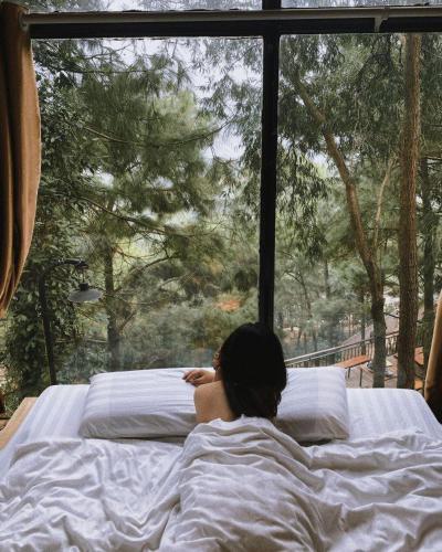 One-Bedroom Apartment room in Nhà Gỗ Rừng Thông