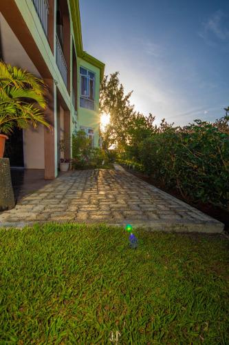 المنظر الخارجي, Cathartica in Baie Malgache