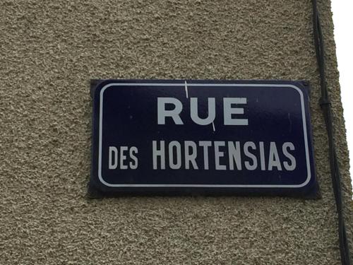 Gîte La Maison Hortensias gîte à louer Grénord