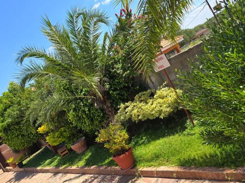 . The Wild Thing Guesthouse