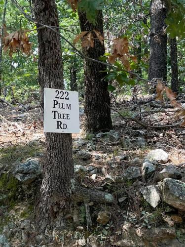 Lakefront Escape on Lake Hudson cabin - image 5