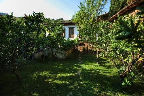 Terrace Houses Sirince