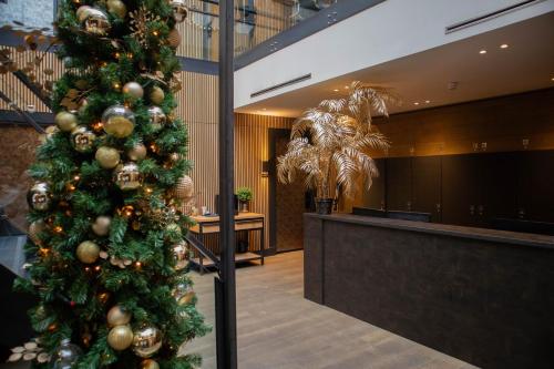 Manzo's Suites - image 6