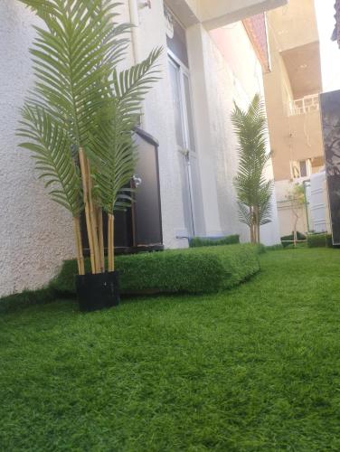 Kings Blue luxury Kings Blue luxury