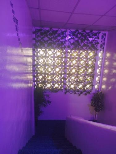 Kings Blue luxury Kings Blue luxury