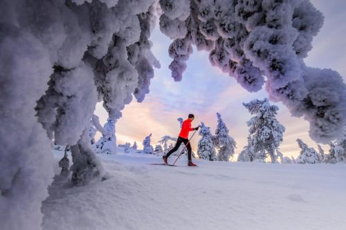 Kaira 27, kahden makuuhuoneen mökki Syötteellä latujen vieressä