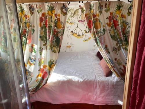 Insolite in Saint-Lothain