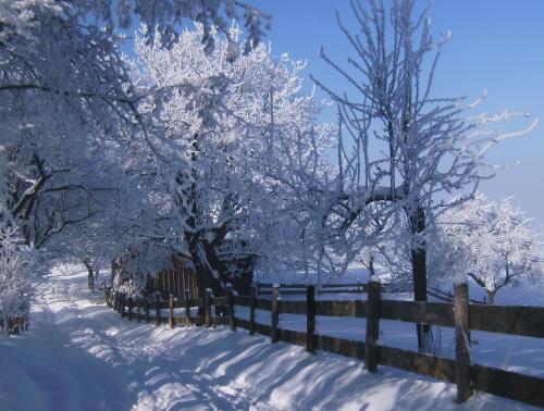 Christerhof in 菲施巴赫豪