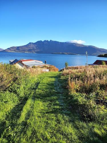Заобикаляща среда, Senja Jøvika Lodge In the heart of Mallangen in Rossfjordstraumen
